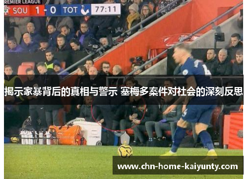 揭示家暴背后的真相与警示 塞梅多案件对社会的深刻反思