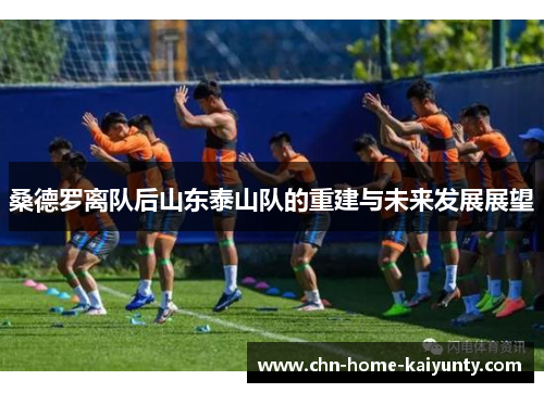 桑德罗离队后山东泰山队的重建与未来发展展望