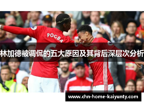 林加德被调侃的五大原因及其背后深层次分析