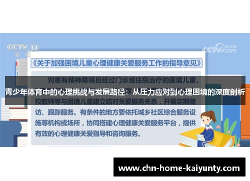 青少年体育中的心理挑战与发展路径：从压力应对到心理困境的深度剖析