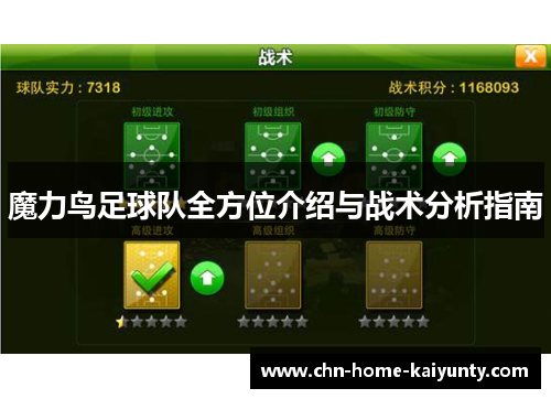 魔力鸟足球队全方位介绍与战术分析指南