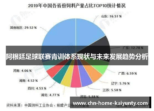 阿根廷足球联赛青训体系现状与未来发展趋势分析